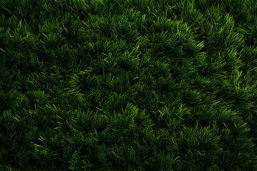 Grass Turf Texture background illustration