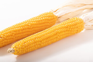 ポップコーン（乾燥とうもろこし）