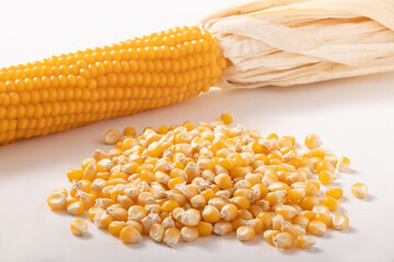 ポップコーン（乾燥とうもろこし）