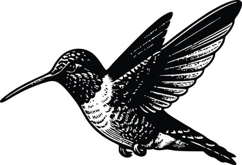 Black hummingbird logo clipart. Isolated tropical small flying bird. Monochrome minimalist bird logo.