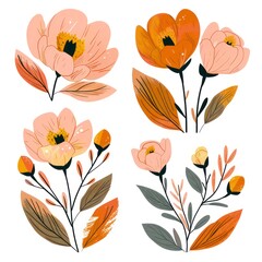 peonies flower set clipart illustration with simple graphics and soft amber, orange and pink colors