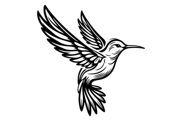 Obraz premium line art of a hummingbird silhouette vector art illustration isolated on transparent background - Generative AI