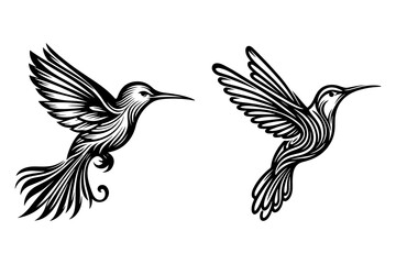 Fototapeta premium line art of a hummingbird set silhouette vector art illustration isolated on transparent background - Generative AI