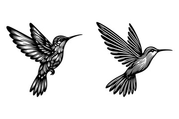Obraz premium line art of a hummingbird set silhouette vector art illustration isolated on transparent background - Generative AI