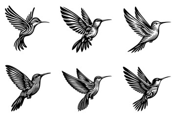 Fototapeta premium line art of a hummingbird set silhouette vector art illustration isolated on transparent background - Generative AI