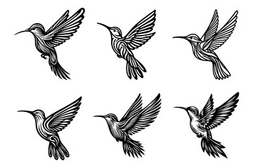 Obraz premium line art of a hummingbird set silhouette vector art illustration isolated on transparent background - Generative AI