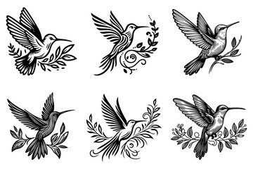Obraz premium line art of a hummingbird set silhouette vector art illustration isolated on transparent background - Generative AI