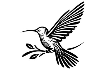 Obraz premium line art of a hummingbird silhouette vector art illustration isolated on transparent background - Generative AI