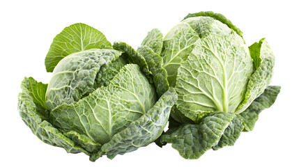 Fototapeta premium Cabbage isolated on a white background with full depth of field, sharp focus