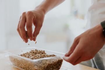 A young man plants wheat seeds in a container.