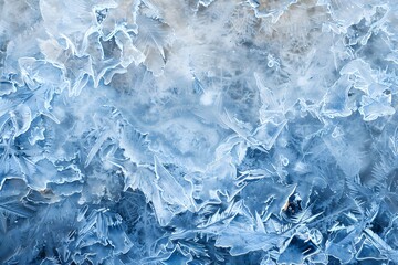 Fototapeta premium winter landscape with snow covered trees