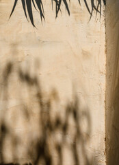Shadow Of Trees On Wall At Sunset.
