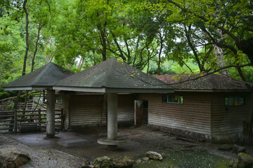 old house in the woods