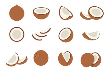 Set of brown coconut, Farm fresh coconut product emblem for grocery shop, Slides, long and cross sections, and different positions, simple flat vector illustration of vegetables and fruits.
