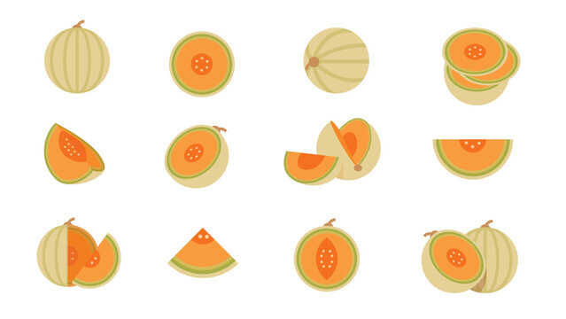 Set of yellow melon, Farm fresh cantaloupe product emblem for grocery shop, Slides, long and cross sections, and different positions, simple flat vector illustration of vegetables and fruits.