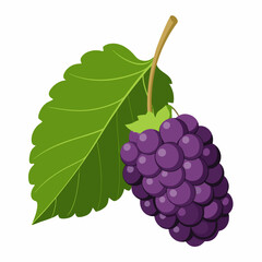 A Single Blackberry with a Green Leaf
