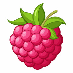 A Single Red Raspberry with Green Leaves