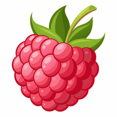 A Single, Ripe Raspberry with Green Leaves