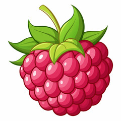 A Single Red Raspberry with Green Leaves