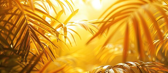 Summer backdrop featuring palm leaves on a yellow background. with copy space image. Place for adding text or design