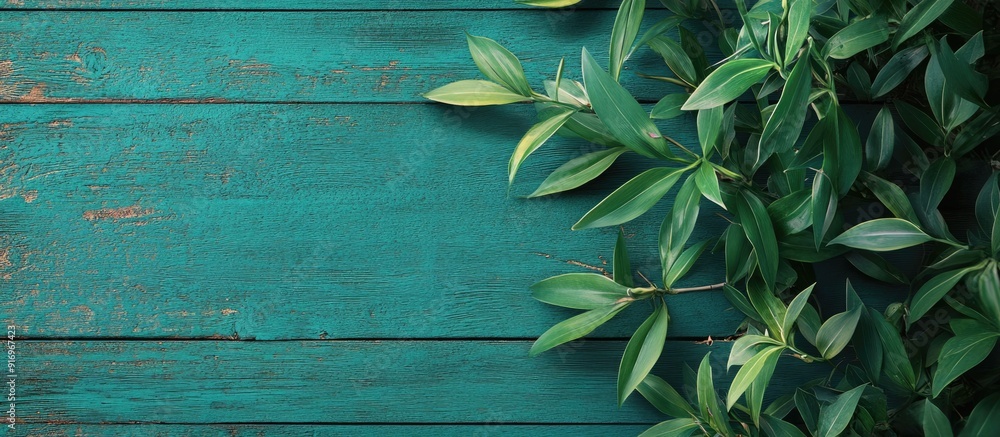 Aufkleber green mint timber. with copy space image. Place for adding text or design