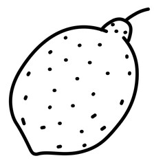 Lemon Doodle Illustration 