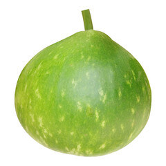 Green Bottle Gourd Vegetable Photo