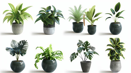Obraz premium Realistic 3D vector icons of potted plants for home decor. The icons are shown against a white background.