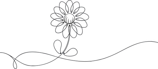 continuous single line drawing of daisy flower, line art vector illustration