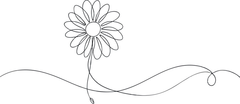recommend clip art: continuous single line drawing of daisy flower, line art vector illustration
