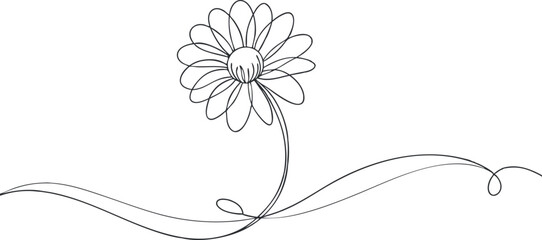 continuous single line drawing of daisy flower, line art vector illustration