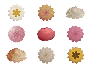 Spring Flower Icon. Icon set: Exotic Tropical Rainforest Flowers in Full Bloom. Collection of different types of flowers.