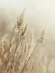 A serene close-up of golden grasses swaying gently in soft light.