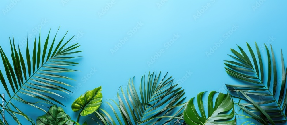 Aufkleber various palm fronds set against a blue backdrop with ample copy space image