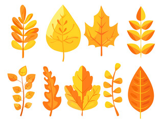 Naklejka premium Various colorful autumn leaves in different shapes, illustrated in a vibrant graphic style on a white background, representing fall season. Vector illustration