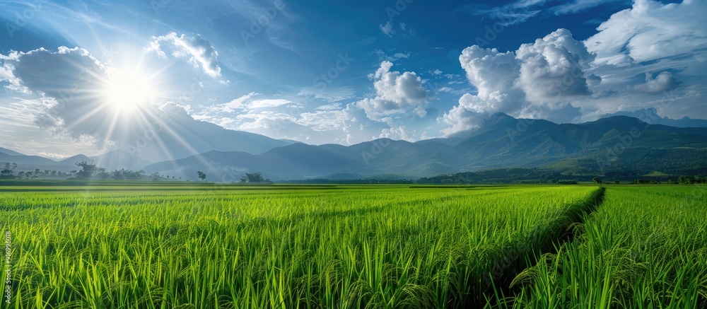 Poster scenic green rice fields with mountains and cloudy sky in a lovely copy space image