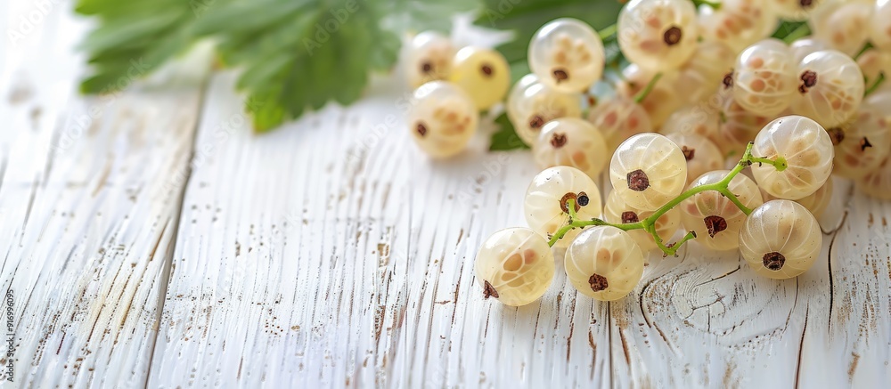 Poster close up shot of fresh white currant berries and a green leaf on a white wooden table with room for 