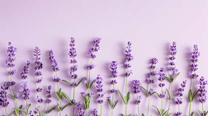 Obraz premium Lavender pattern border background illustration
