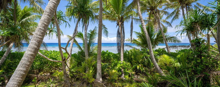 Green jungle landscape with palm trees