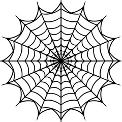 spider web isolated on white vector