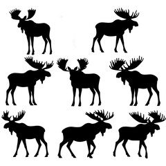 Fototapeta premium Moose silhouettes set, vector silhouette design