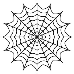 spider web isolated on white vector