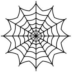 spider web isolated on white vector