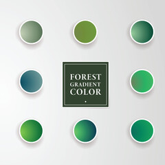 Gradient Color Forest Palette