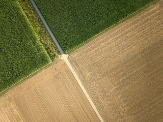 geometric aerial shot of partly harvested corn and wheat fields