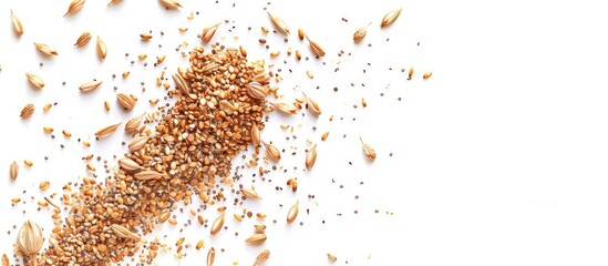 Isolated on a white backdrop spelt bran and grains provide a visually appealing copy space image