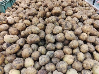 A pile of potatoes with some of them being rotten