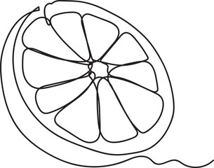 Orange Fruit Line Art 