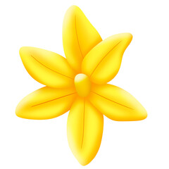 yellow flower