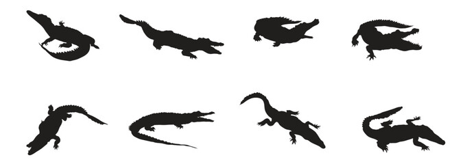collection of crocodiles